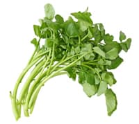 watercress